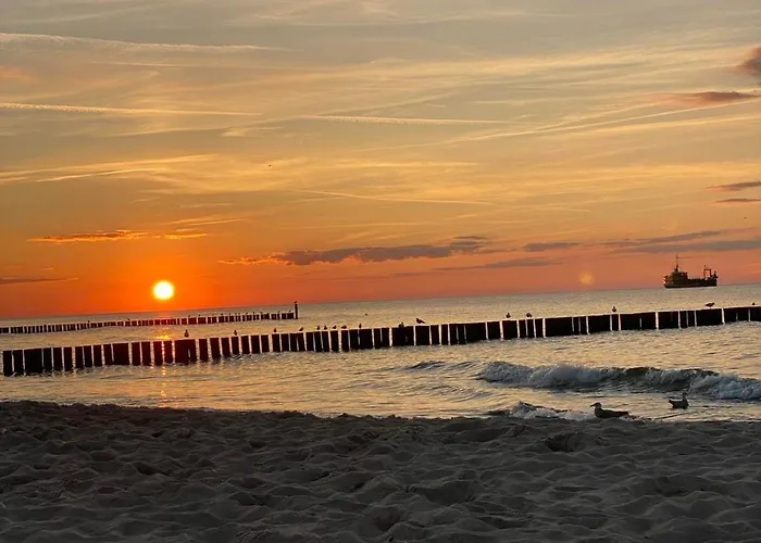 Przy Plazy 9 아파트