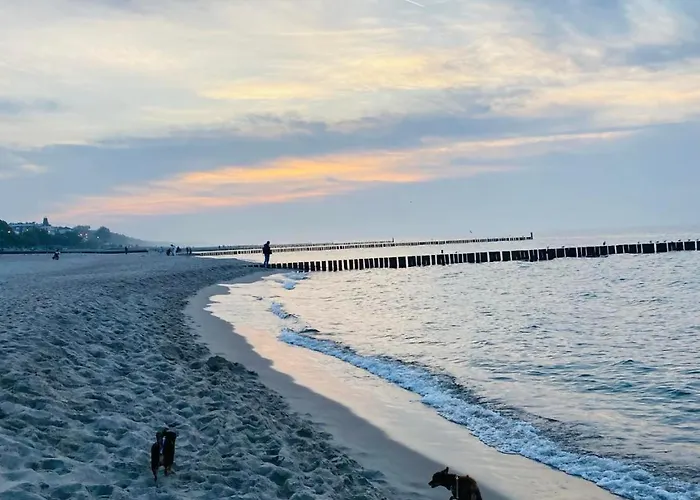 Przy Plazy 9 아파트